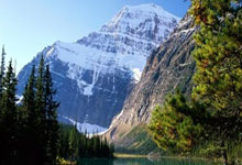 关于亚洲杯最新形势：本菲卡高居榜首，新疆男篮强势追赶，冠军归属成迷的信息